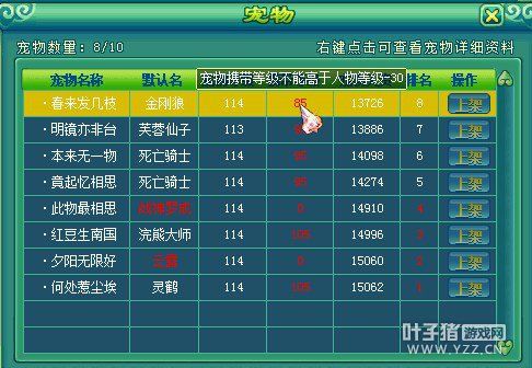 神武宠物拍卖系统