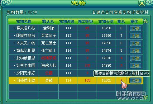 神武宠物拍卖系统