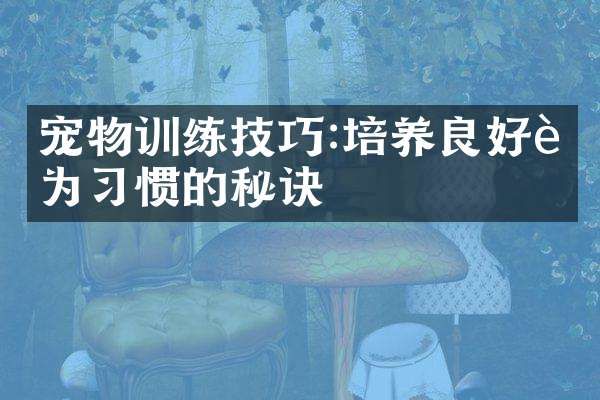 宠物训练技巧:培养良好行为习惯的秘诀