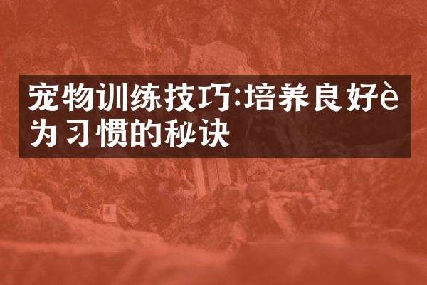宠物训练技巧:培养良好行为习惯的秘诀