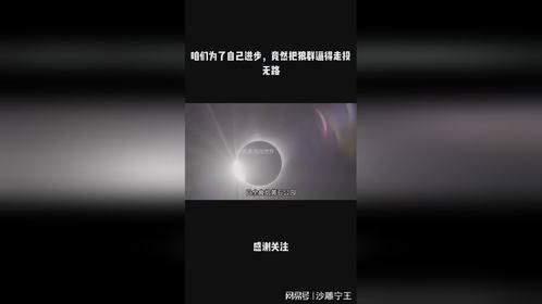 咱们为了自己进步，竟然把狼群逼得走投无路