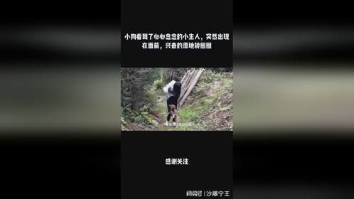 小狗看到了心心念念的小主人，突然出现在面前，兴奋的原地转圈圈