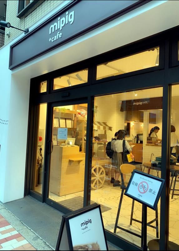 东京迷你猪咖啡店简嘉明 文、图