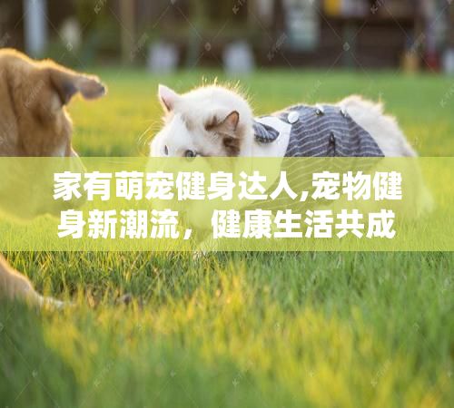 家有萌宠健身达人,宠物健身新潮流，健康生活共成长