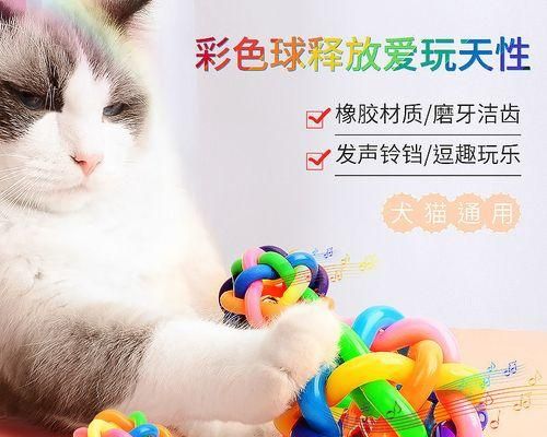 DIY狗狗玩具制作指南（打造快乐互动）