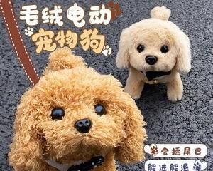 DIY狗狗玩具制作指南（打造快乐互动）