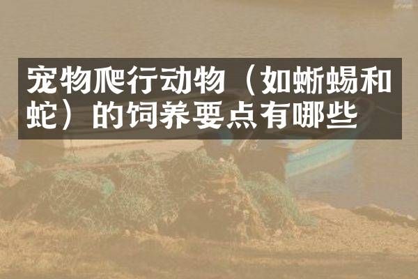 宠物爬行动物（如蜥蜴和蛇）的饲养要点有哪些？