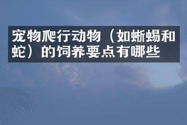 宠物爬行动物（如蜥蜴和蛇）的饲养要点有哪些？