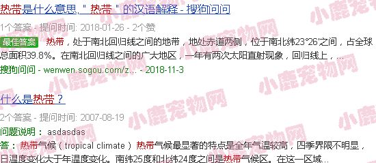 热带鱼品种名称及图片