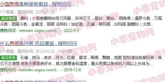 小型热带鱼有哪些