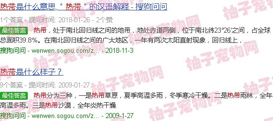 热带鱼的品种图片大全