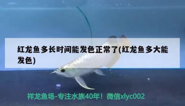 水族馆一般卖什么东西赚钱（水族馆特色纪念品设计案例分析水族馆繁殖技术培训课程） 水族馆百科（水族馆加盟） 第1张