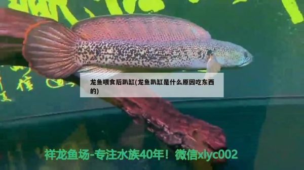 水族馆一般卖什么东西赚钱（水族馆特色纪念品设计案例分析水族馆繁殖技术培训课程） 水族馆百科（水族馆加盟） 第3张