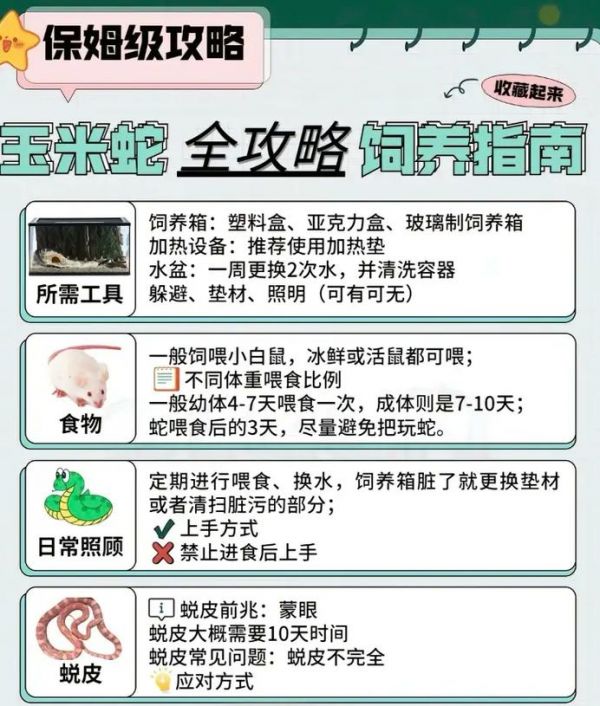 蛇的养殖,蛇的养殖技术视频教程