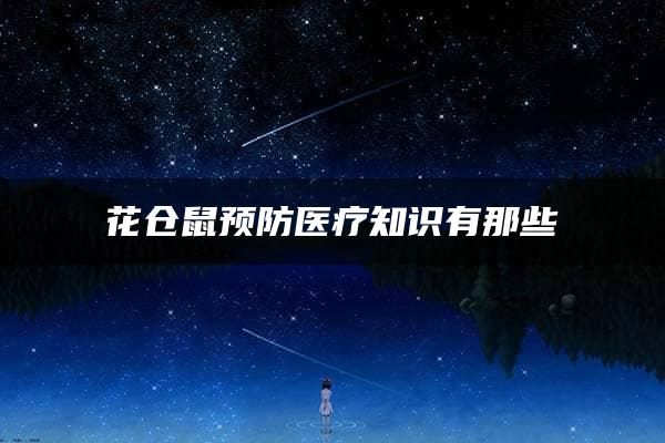 花仓鼠预防医疗知识有那些