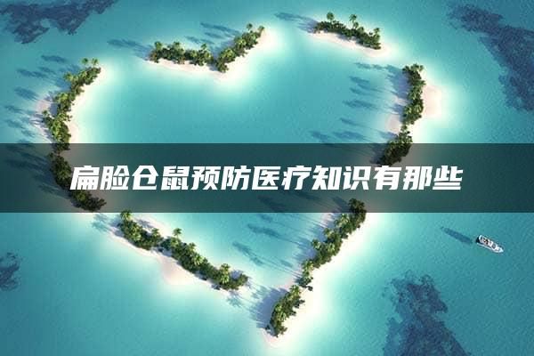 扁脸仓鼠预防医疗知识有那些