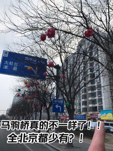 马驹桥又有新情况？！
