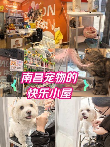 南昌宠物的快乐小屋