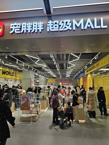 家人们，一定要来这家宠胖胖超级MALL！