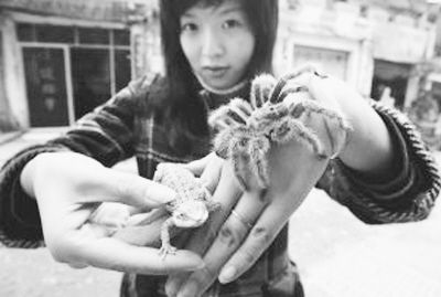 宠物病越来越恐怖