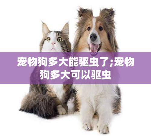 宠物狗多大能驱虫了;宠物狗多大可以驱虫