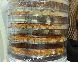 金毛自制狗粮的做法步骤 第10步