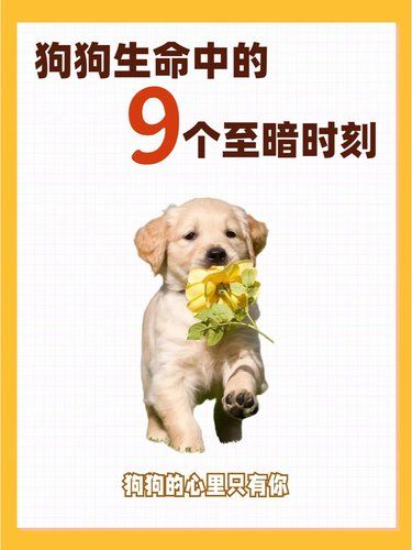 看到最后笑不出来了，***9个至暗时刻