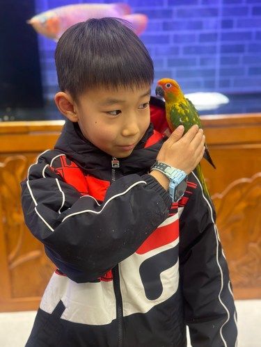 手心里的鸟儿萌瞬间