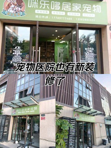 宠物美容专家来啦