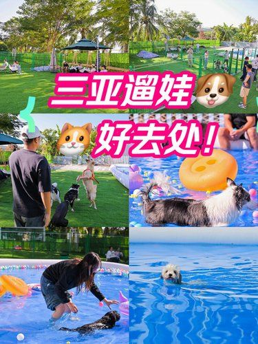三亚。。个人认为无法超越的！宠物乐园