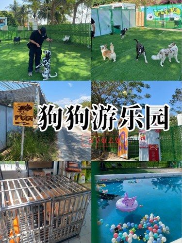 修勾往哪里跑