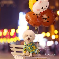亲子乐园国内萌宠亲子游乐园推荐，让孩子与宠物共度欢乐时光