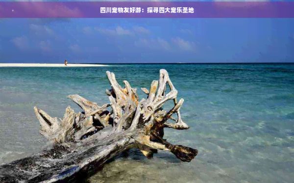 四川宠物友好游：探寻四大宠乐圣地