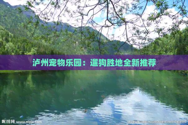泸州宠物乐园：遛狗胜地全新推荐