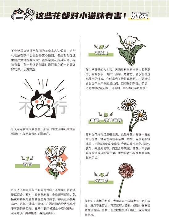 《养了猫 我就后悔了》漫画推荐!