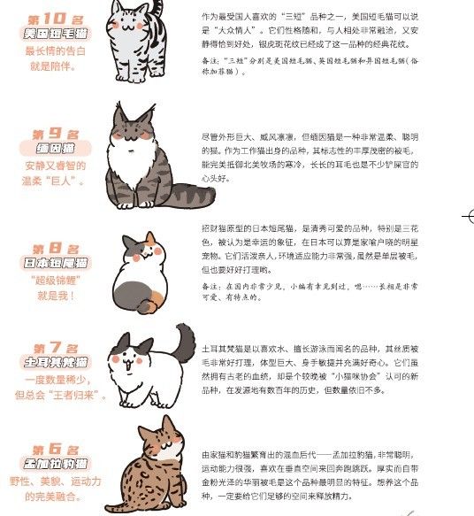 《养了猫 我就后悔了》漫画推荐!