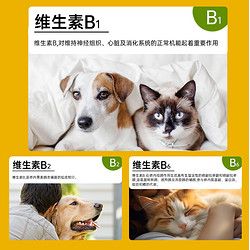 others 其他 鑫盾复合维生素B溶液宠物猫狗脱毛猫藓口炎神经炎营养液提高免疫