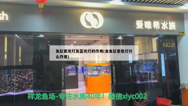 算是极品么？ 鱼缸清洁用具 第1张