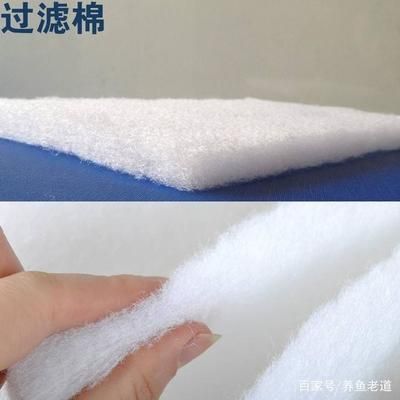鱼缸过滤棉怎么样：鱼缸过滤棉清洗技巧和注意事项和注意事项 鱼缸百科 第2张