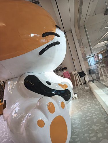 很肥的猫