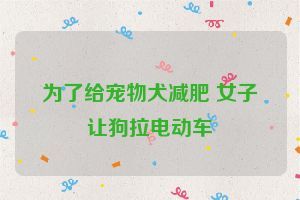 为了给宠物犬减肥 女子让狗拉电动车