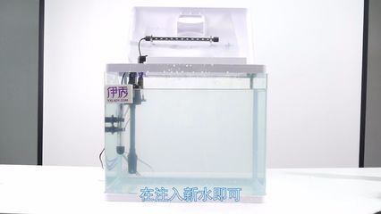鱼缸水质管理方法：鱼缸水质管理全攻略了解如何有效地管理鱼缸水质管理 鱼缸百科 第3张