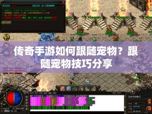 传奇手游如何跟随宠物？跟随宠物技巧分享
