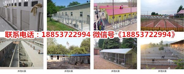 菏泽市水族馆文化探秘菏泽市水族馆文化探秘菏泽市水族馆文化探秘：菏泽市定陶区万思语宠物店提供鱼缸及相关水族产品销售服务 鱼缸百科 第3张