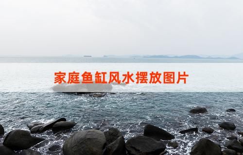 家庭鱼缸风水摆放图片