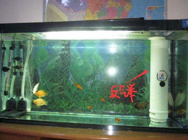 家里的鱼缸过滤不好想加个过滤怎么加好：如何选择鱼缸过滤系统