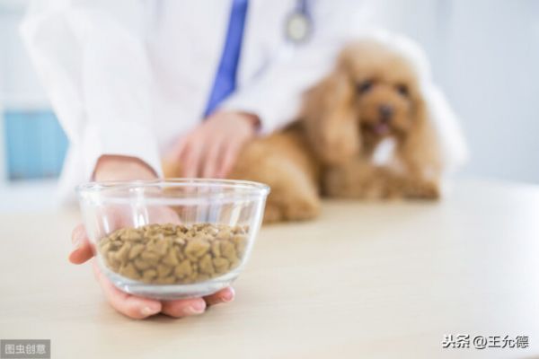 如何给狗选择狗粮？难道是只买贵的？