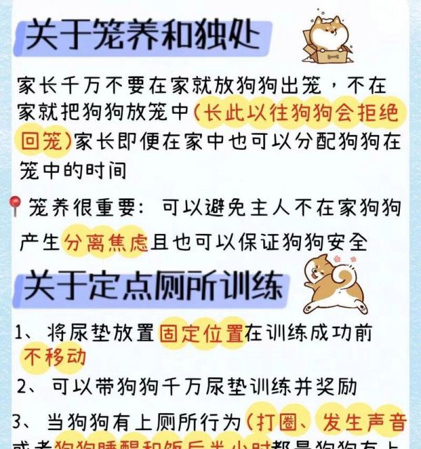 萨摩耶犬一生的五个阶段（了解萨摩耶犬不同阶段的特点与需求）