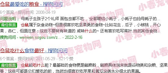 仓鼠吃什么粮食最好
