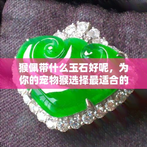 猴佩带什么玉石好呢，为你的宠物猴选择最适合的玉石饰品